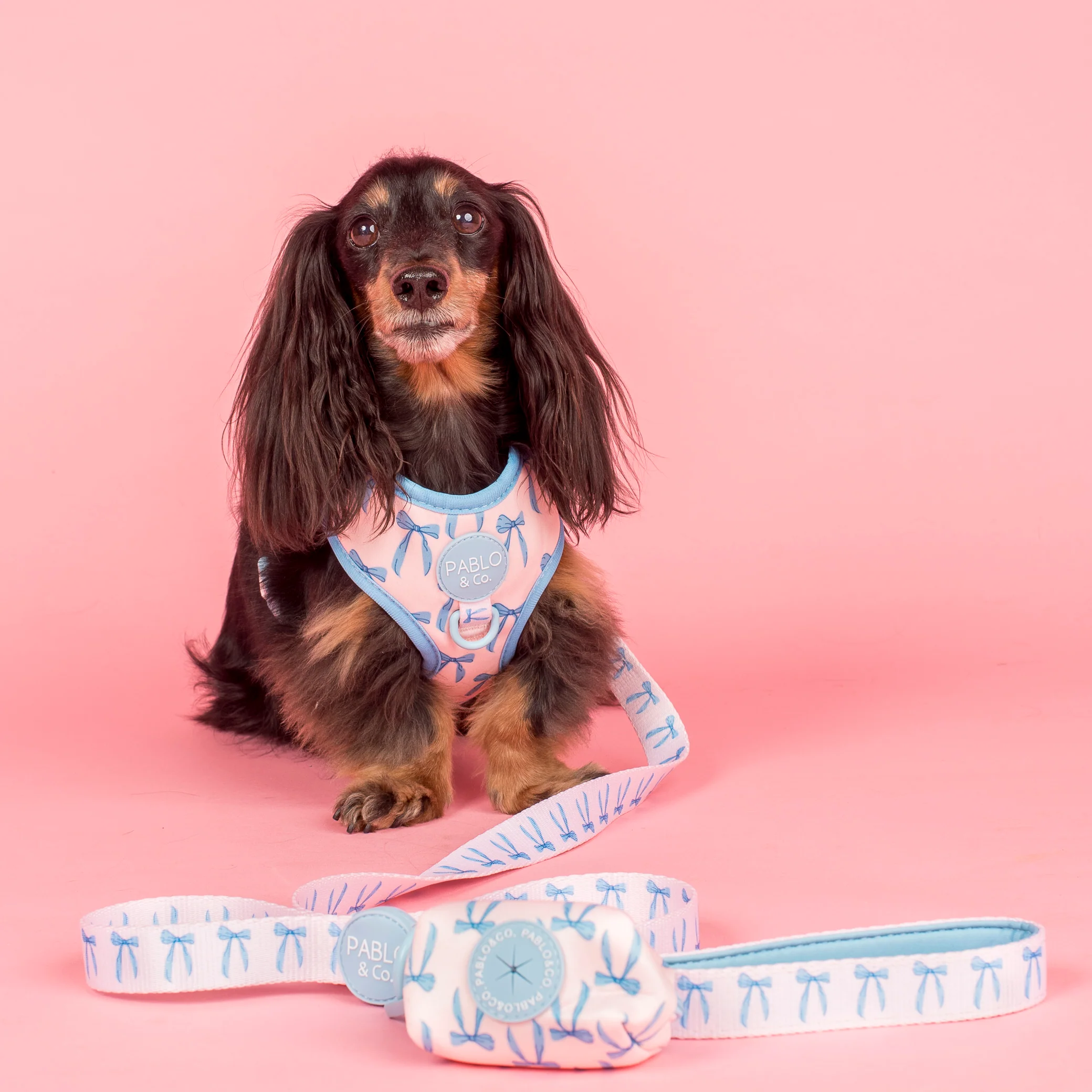 Baby Blue Bows: Poop Bag Holder - Image 2