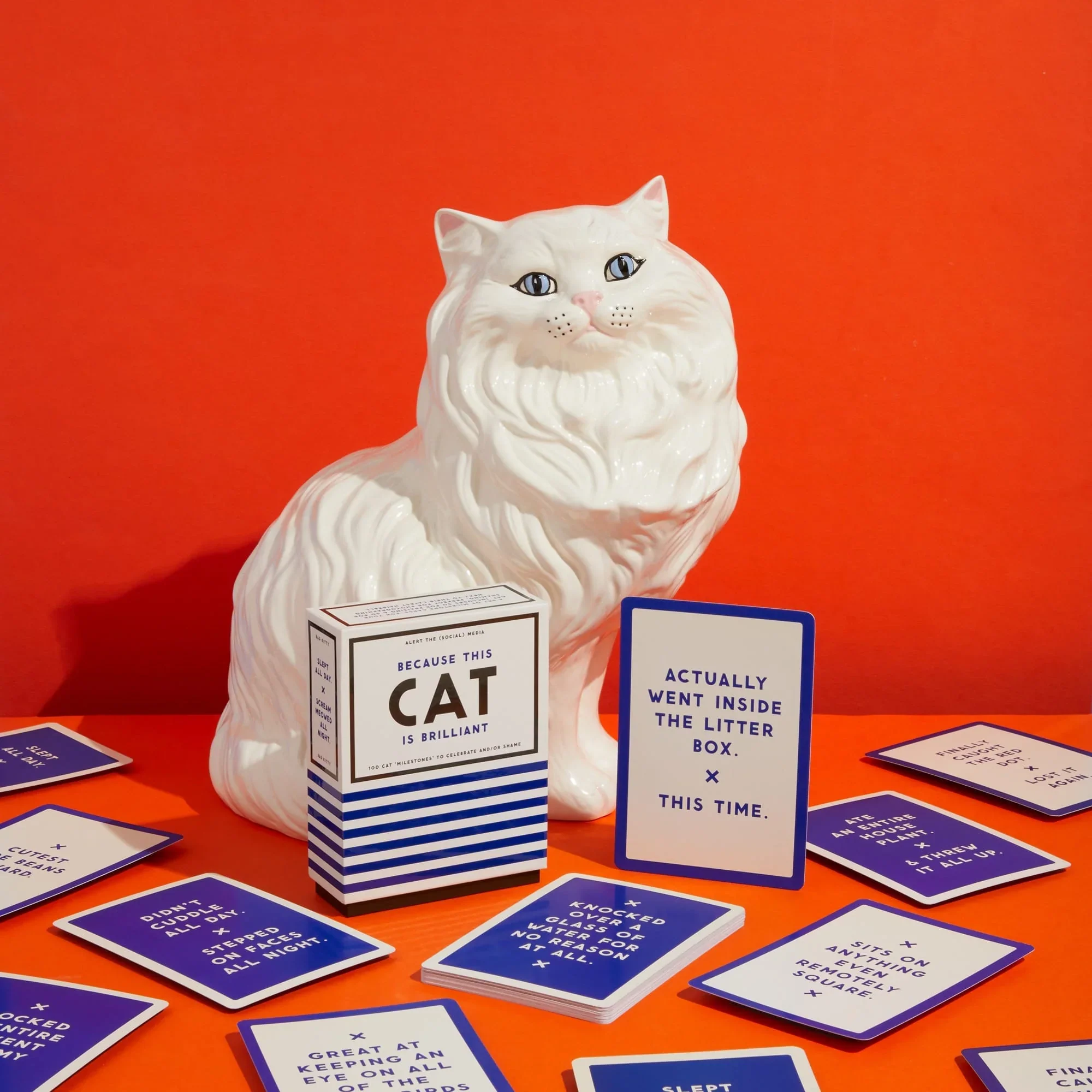 Because This Cat Is Embarrassing - Pet Milestone Cards