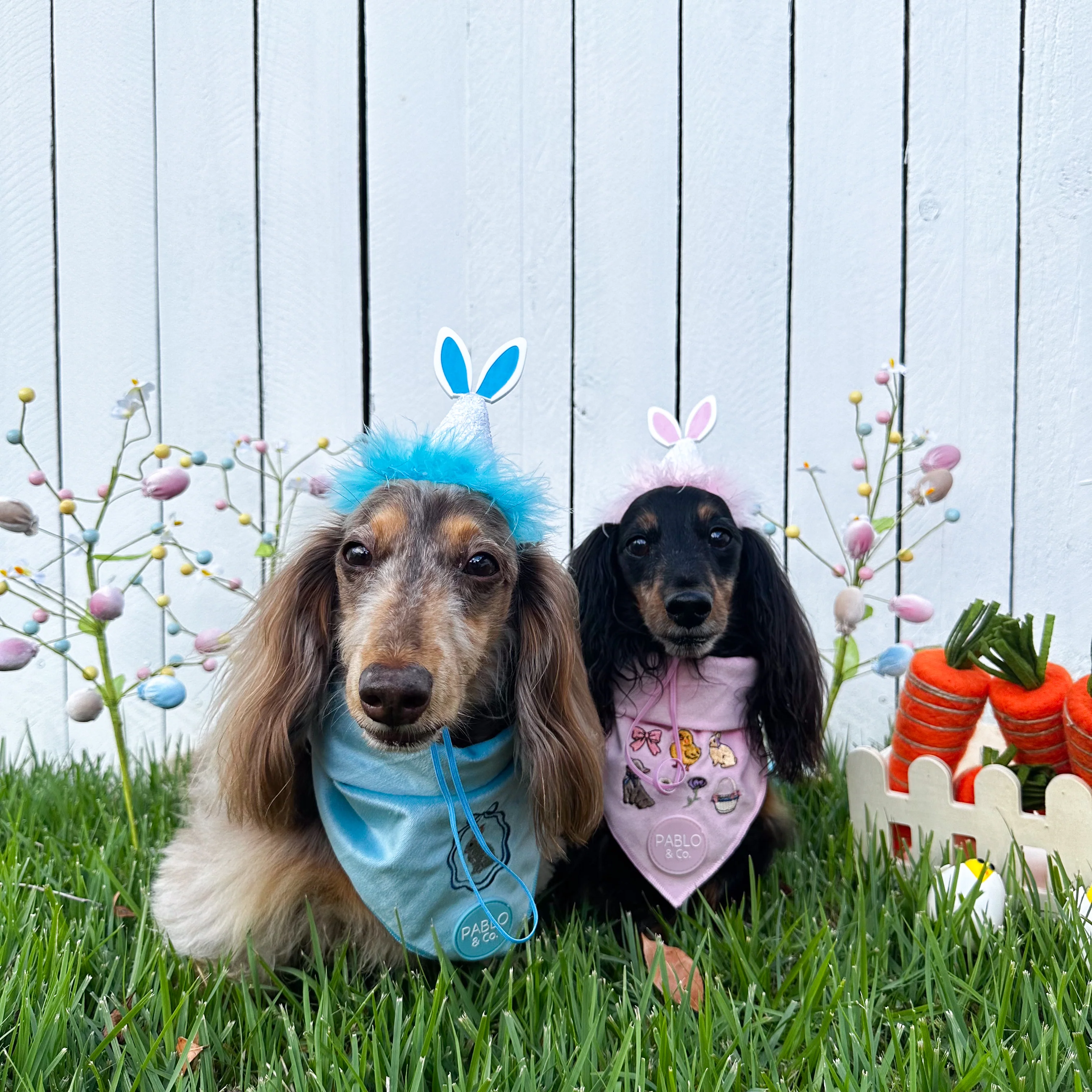 Pablo's Easter Pawty Hat: Pink Easter Bunny - Image 4
