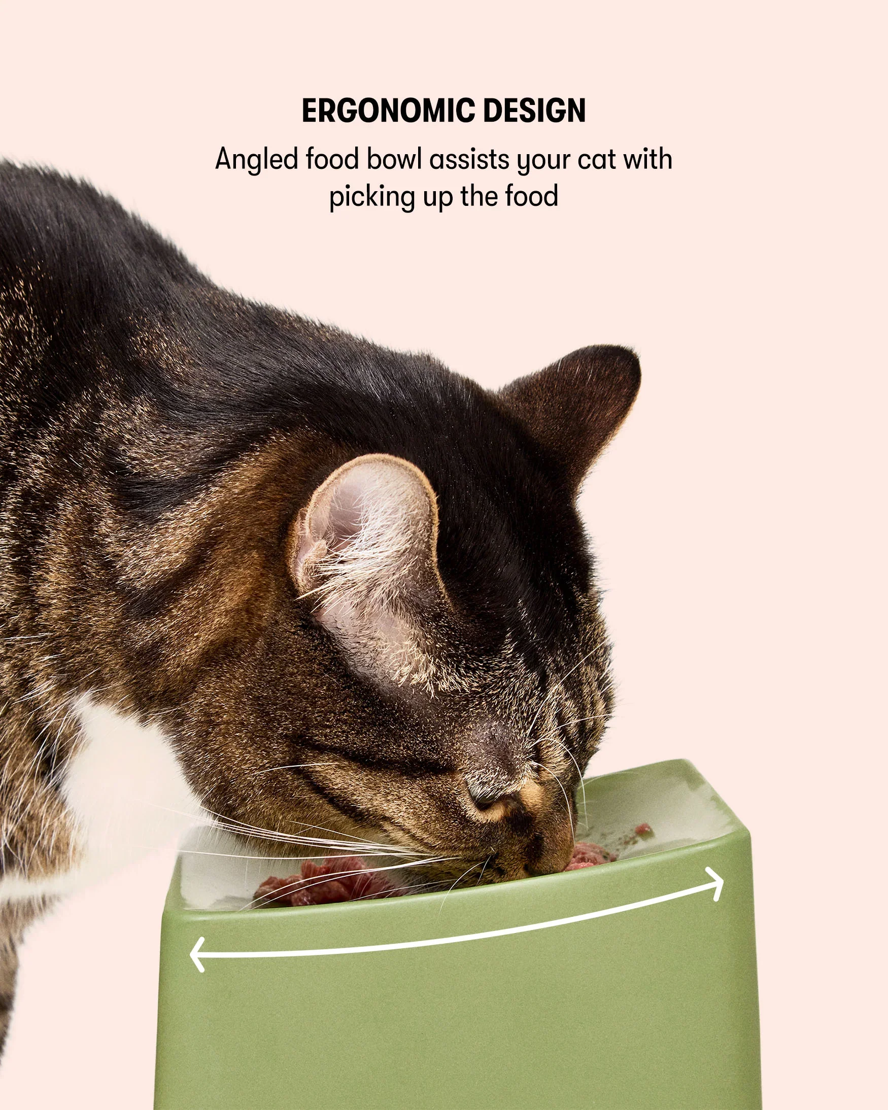 CAT Corner Bowl Set - Olive - Image 4