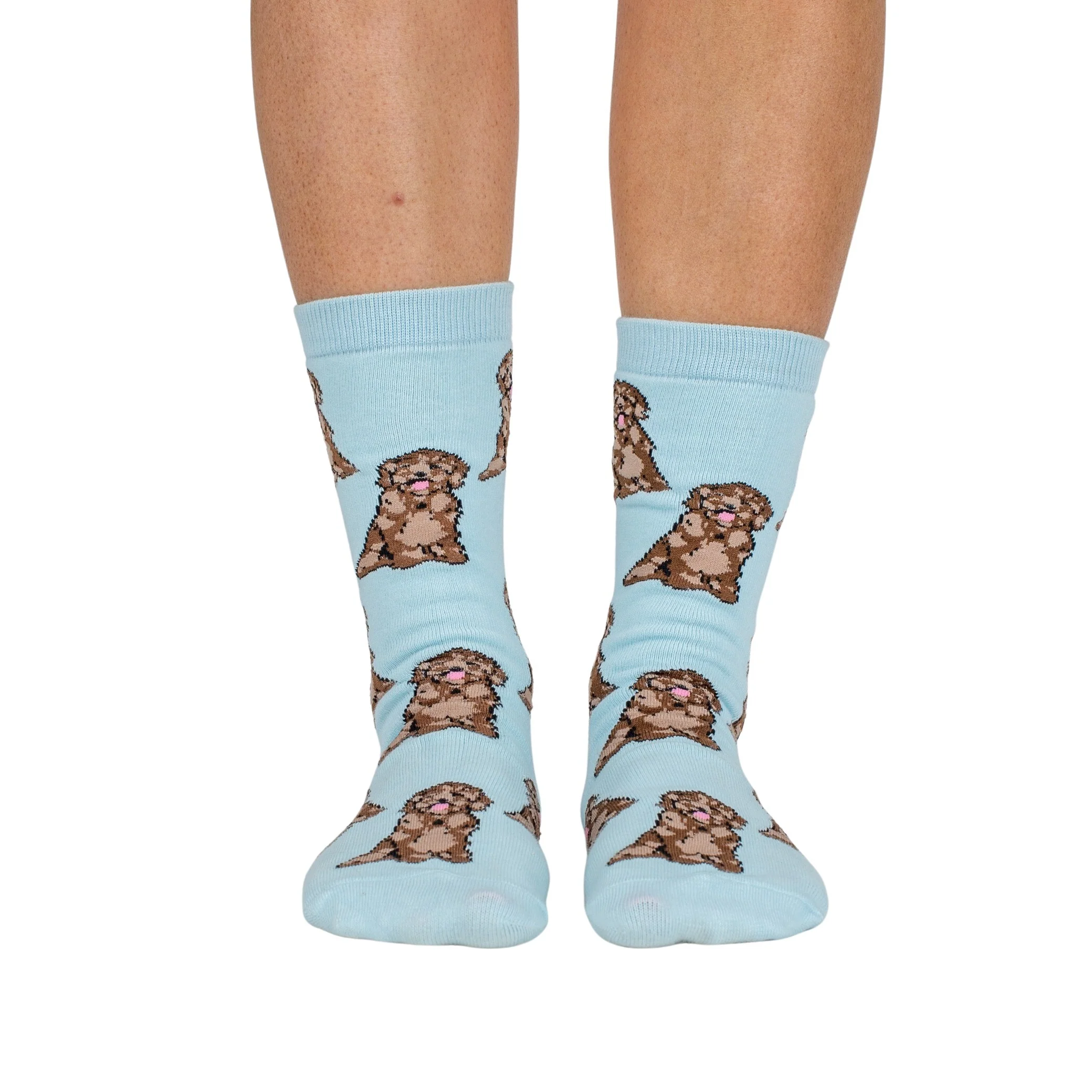 Blue Cavoodle: Breed Socks