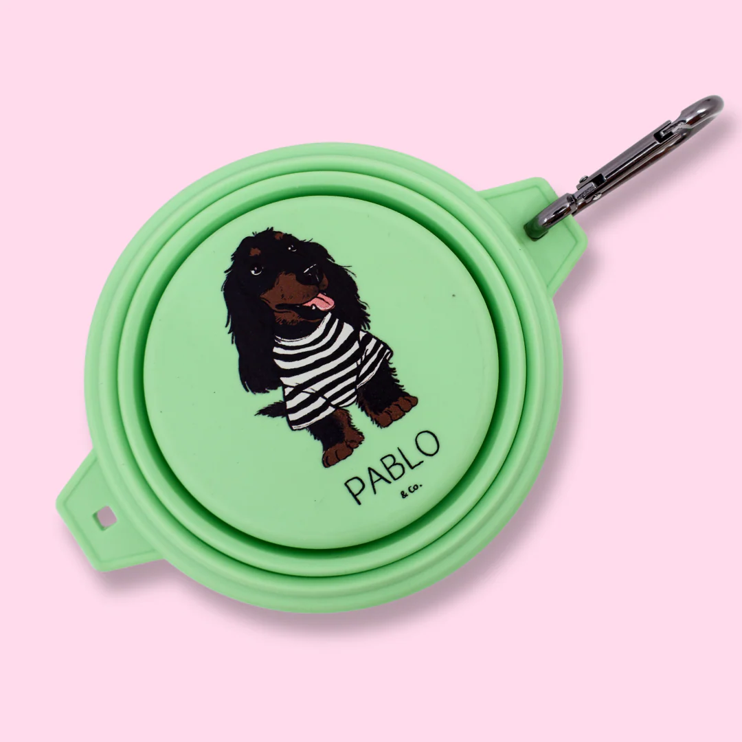Collapsible Dog Water Bowl - Image 5