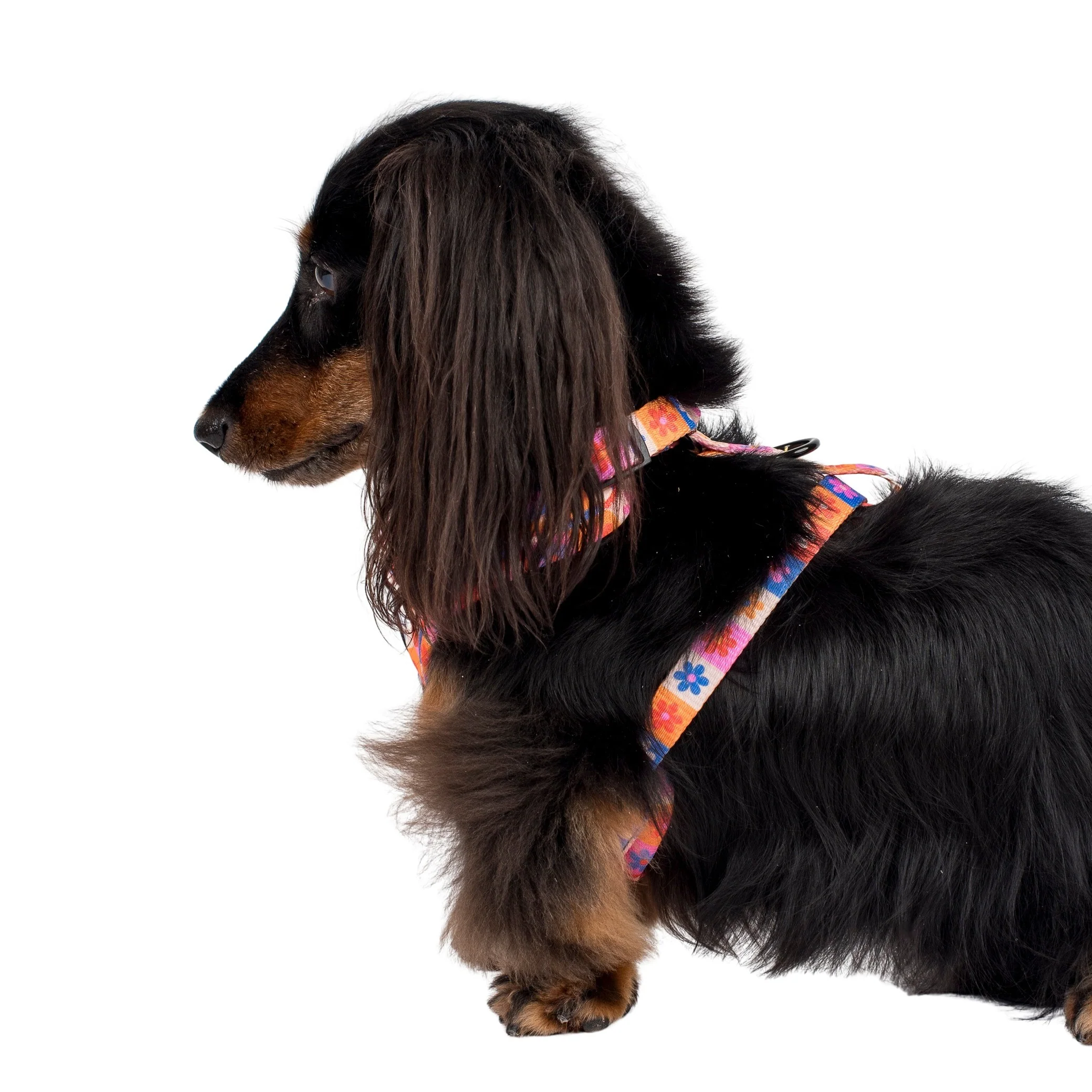 Daisies For Days: Adjustable Harness - Image 5