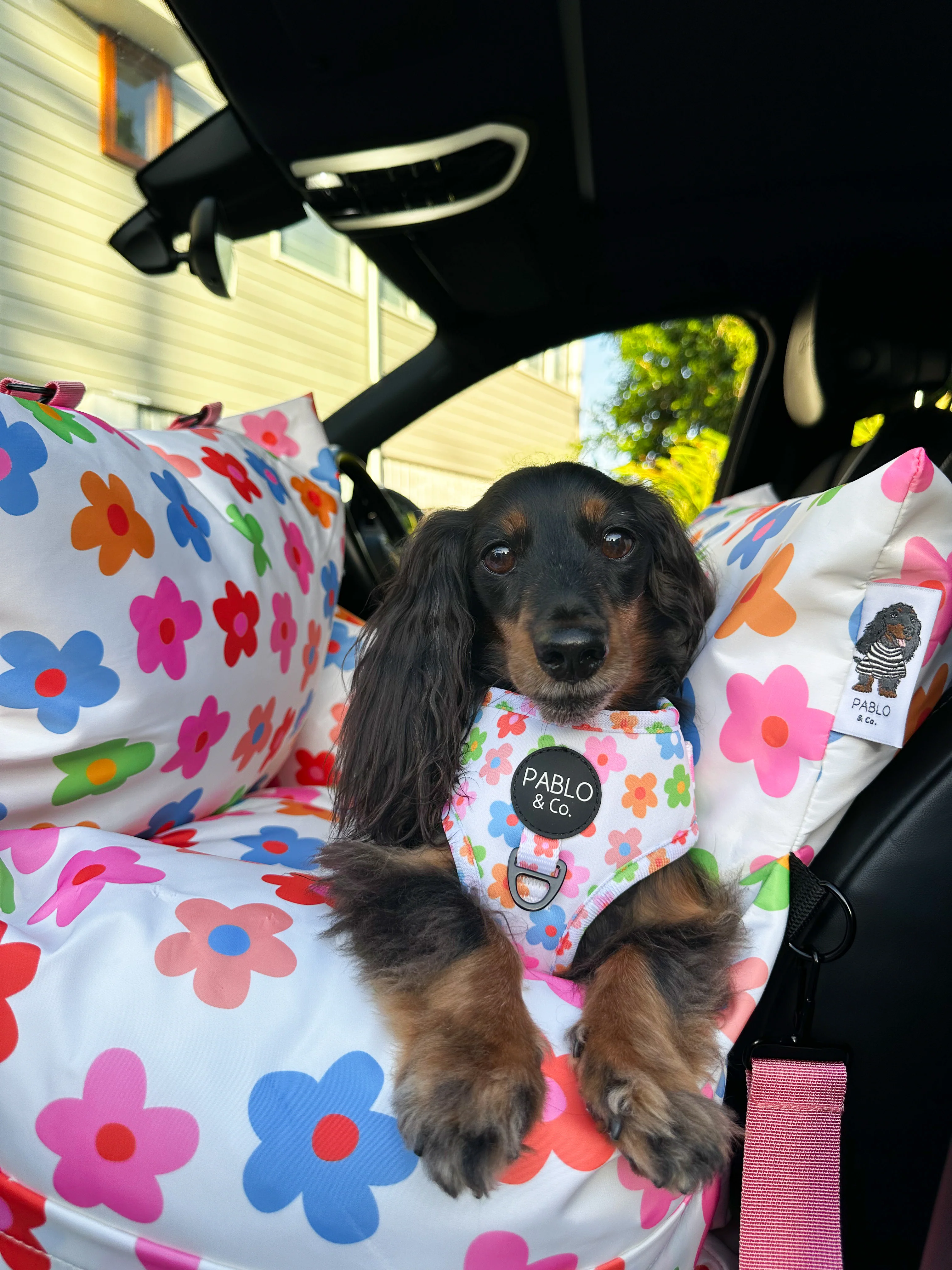 Deluxe Travel Car Bed: Posy - Image 14