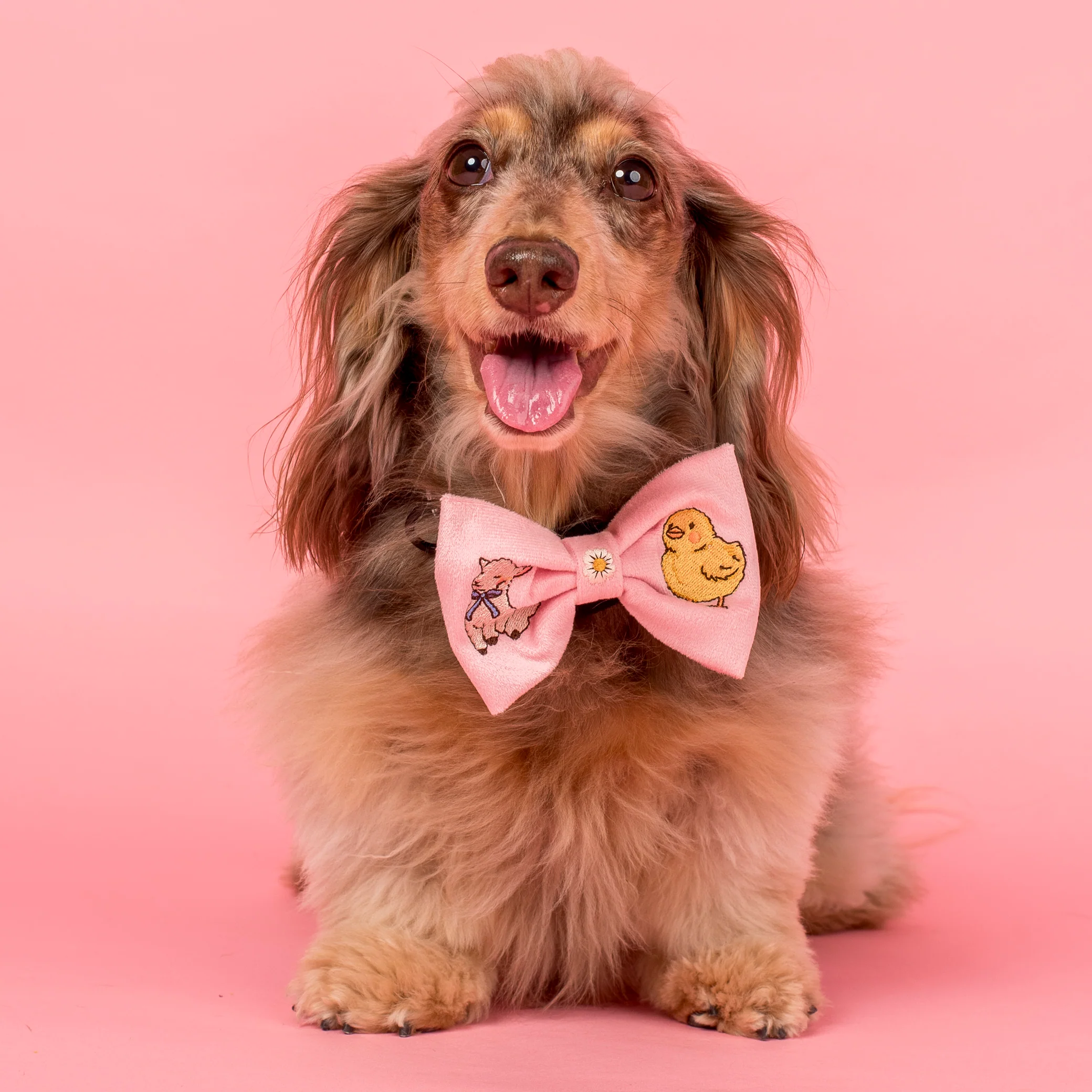 Easter Parade: Bow Tie - Image 2