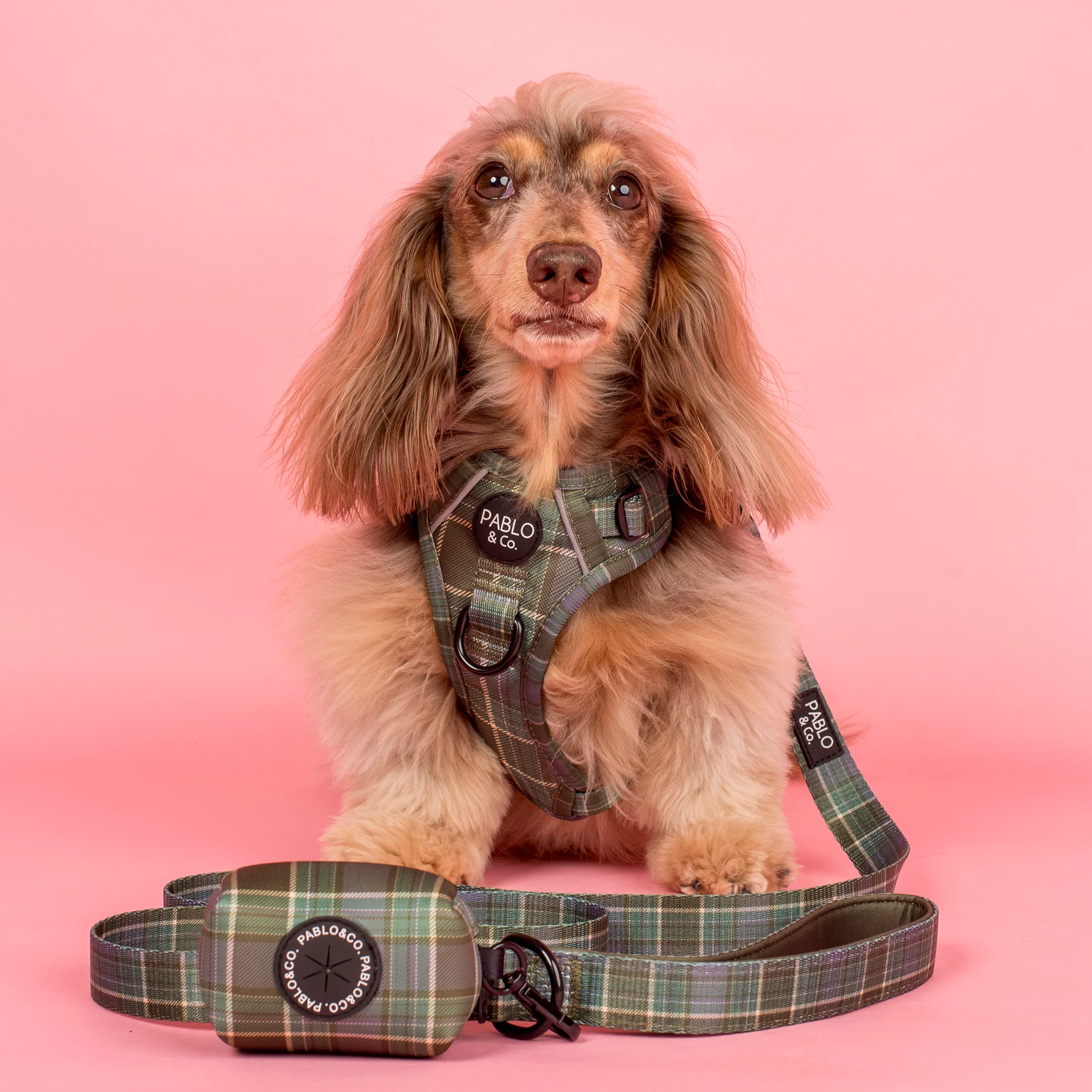 Green Plaid: Poop Bag Holder - Image 2