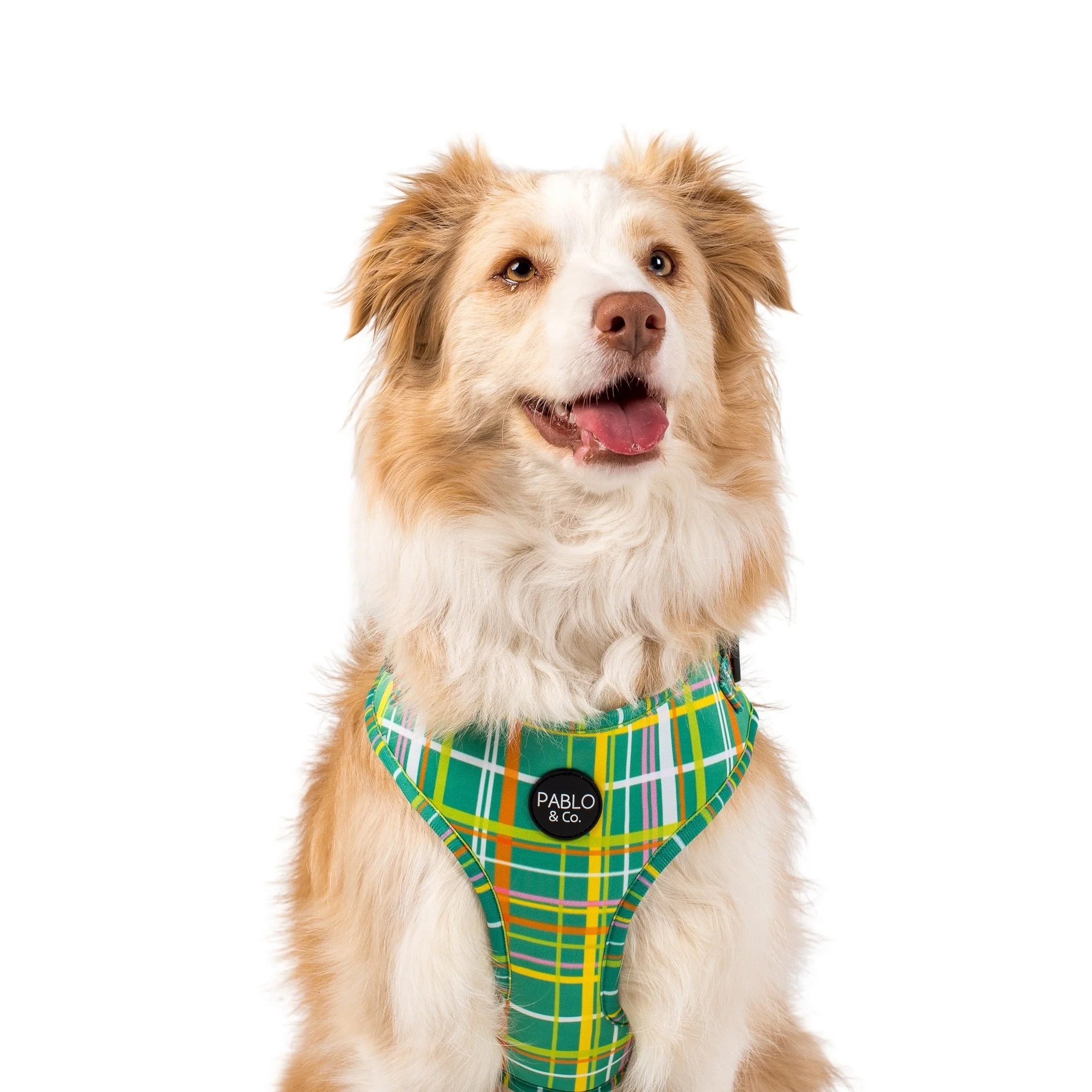 Groovy Grid: Adjustable Harness