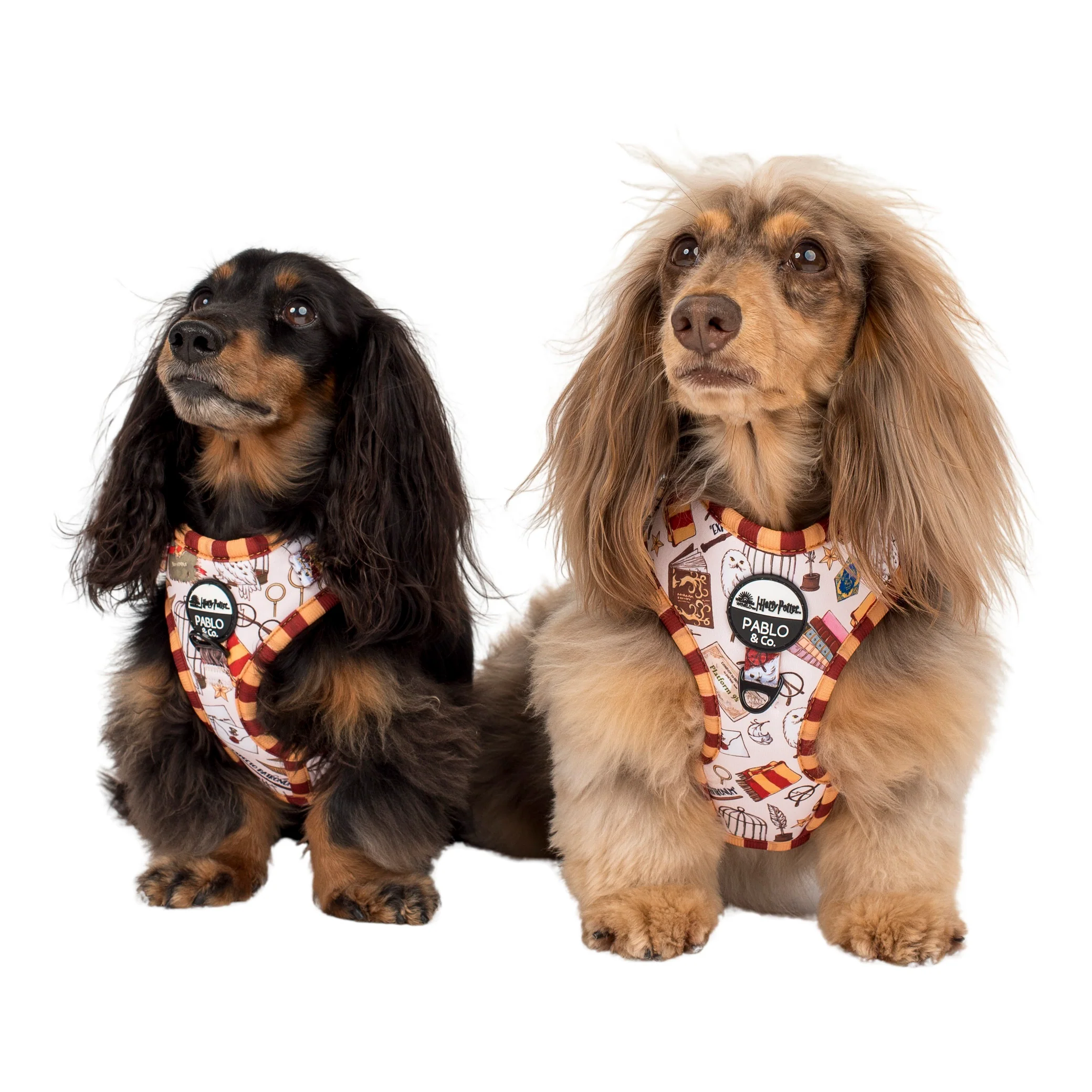 Harry Potter: Adjustable Harness - Image 12