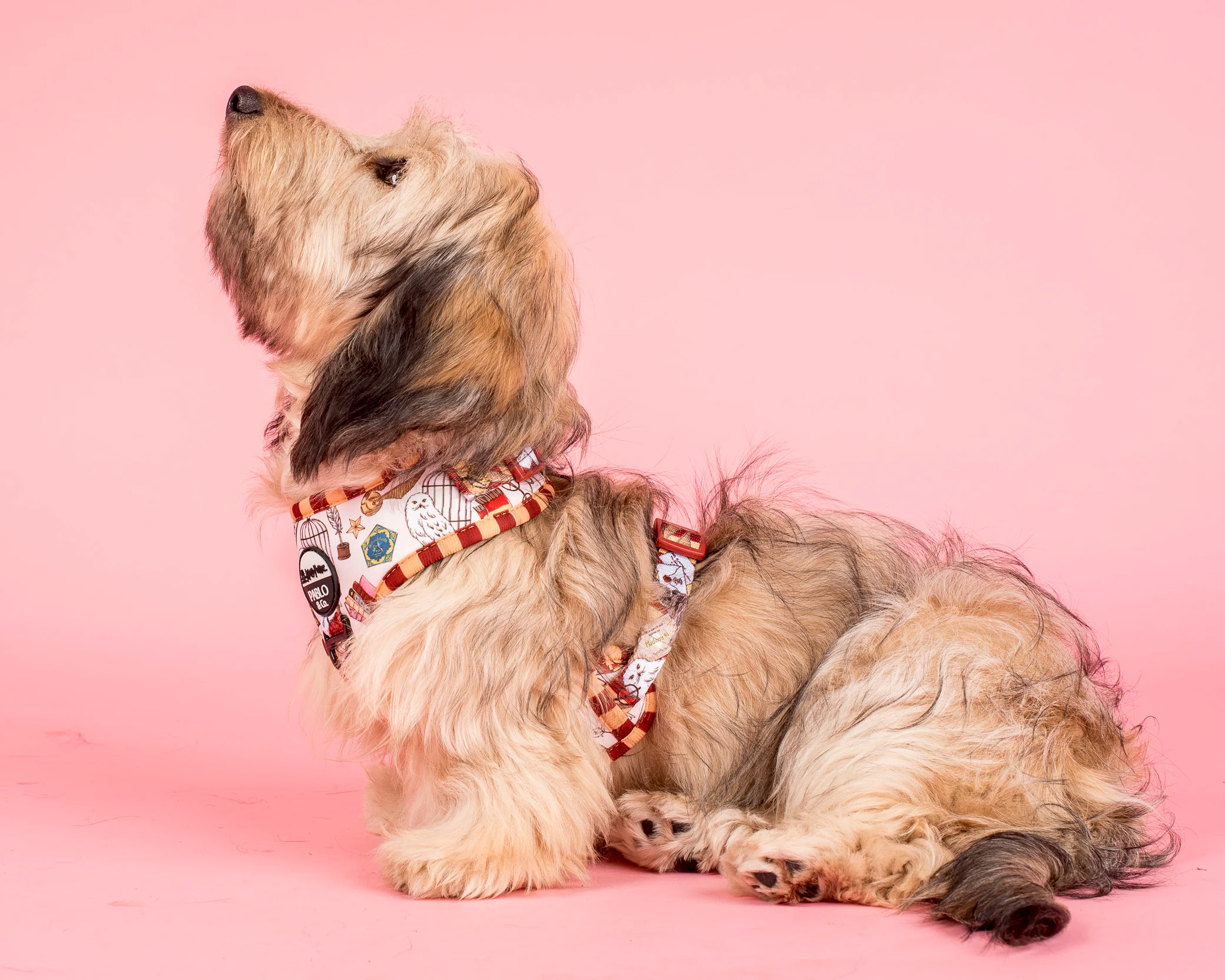 Harry Potter: Adjustable Harness - Image 3