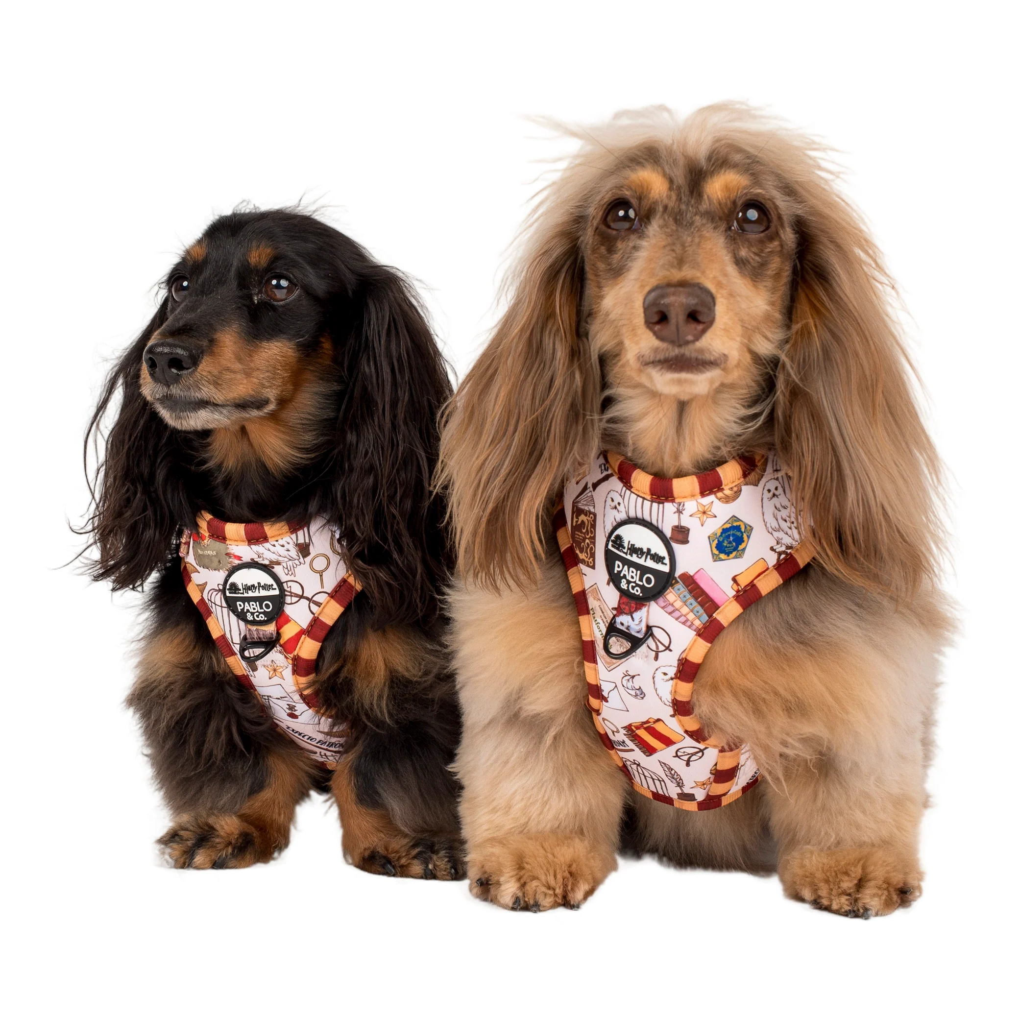 Harry Potter: Adjustable Harness - Image 9