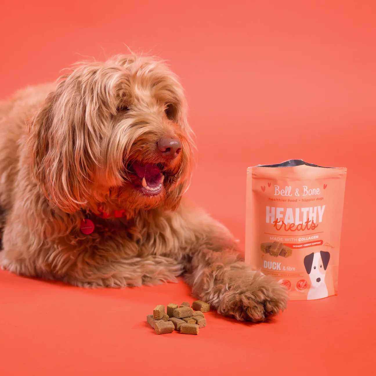 Healthy Treats: Duck & Fibre for weight and energy support - Image 5