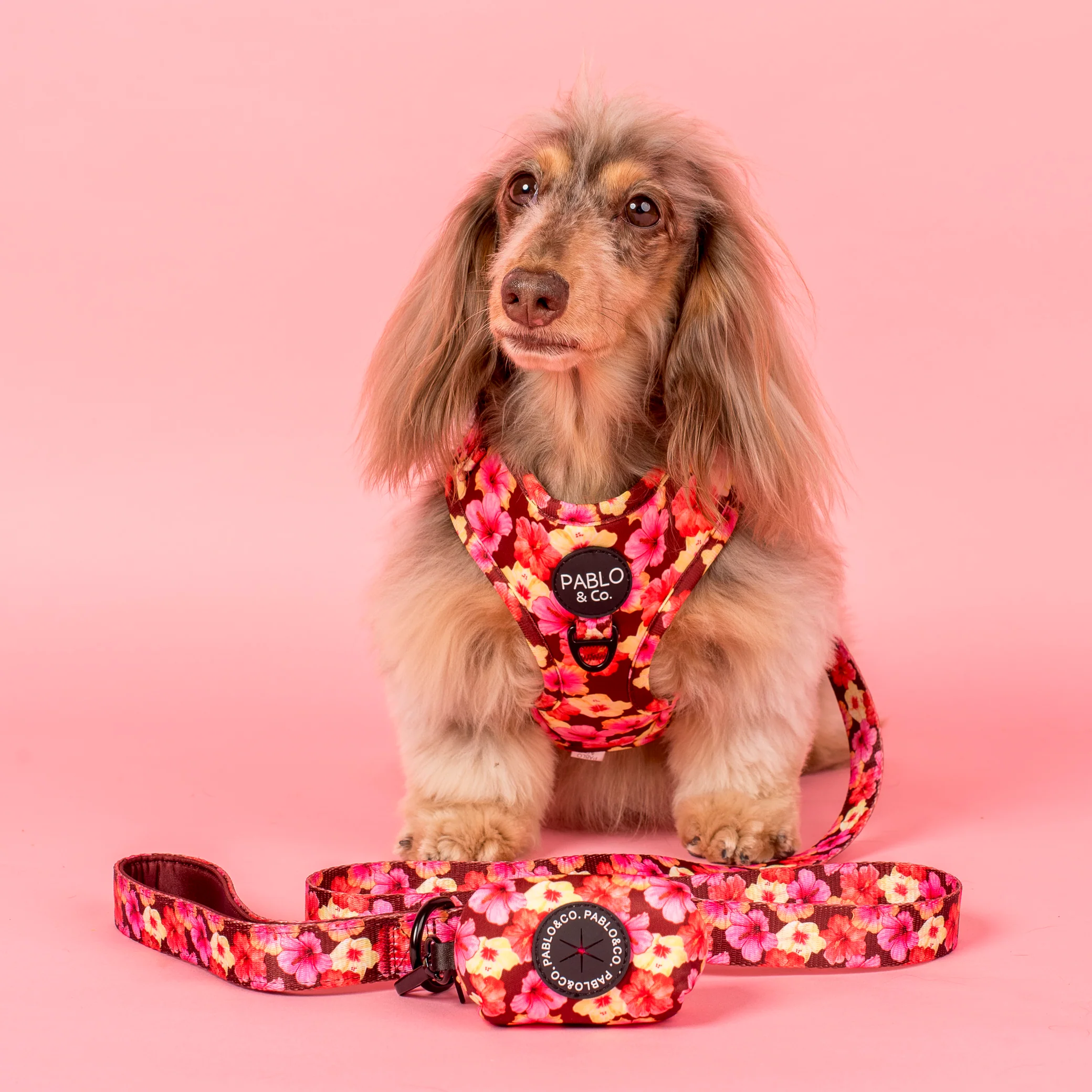 Hibiscus: Poop Bag Holder - Image 2