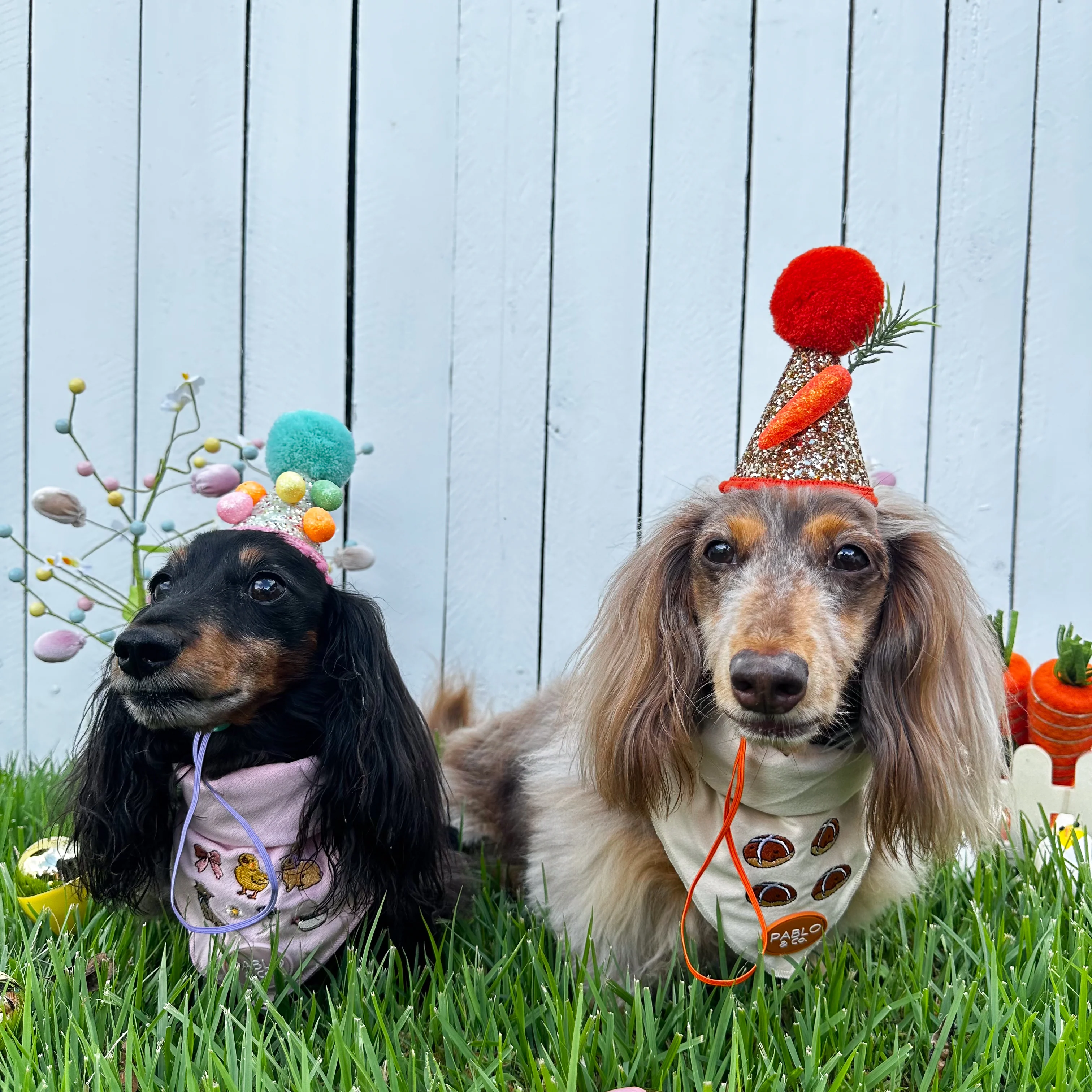 Hot Cross Buns: Velvet Dog Bandana - Image 4