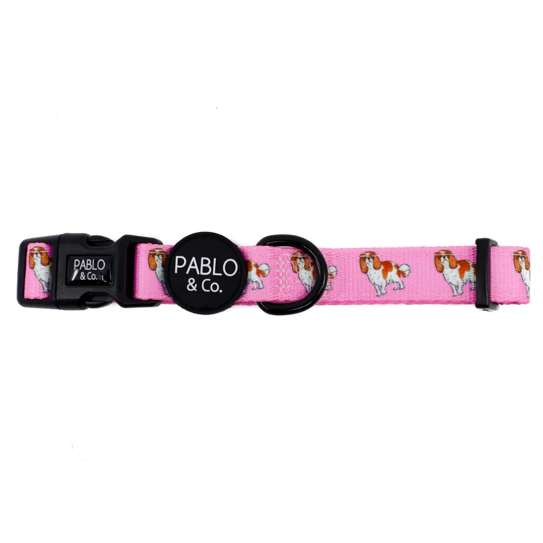 Cavalier King Charles: Collar