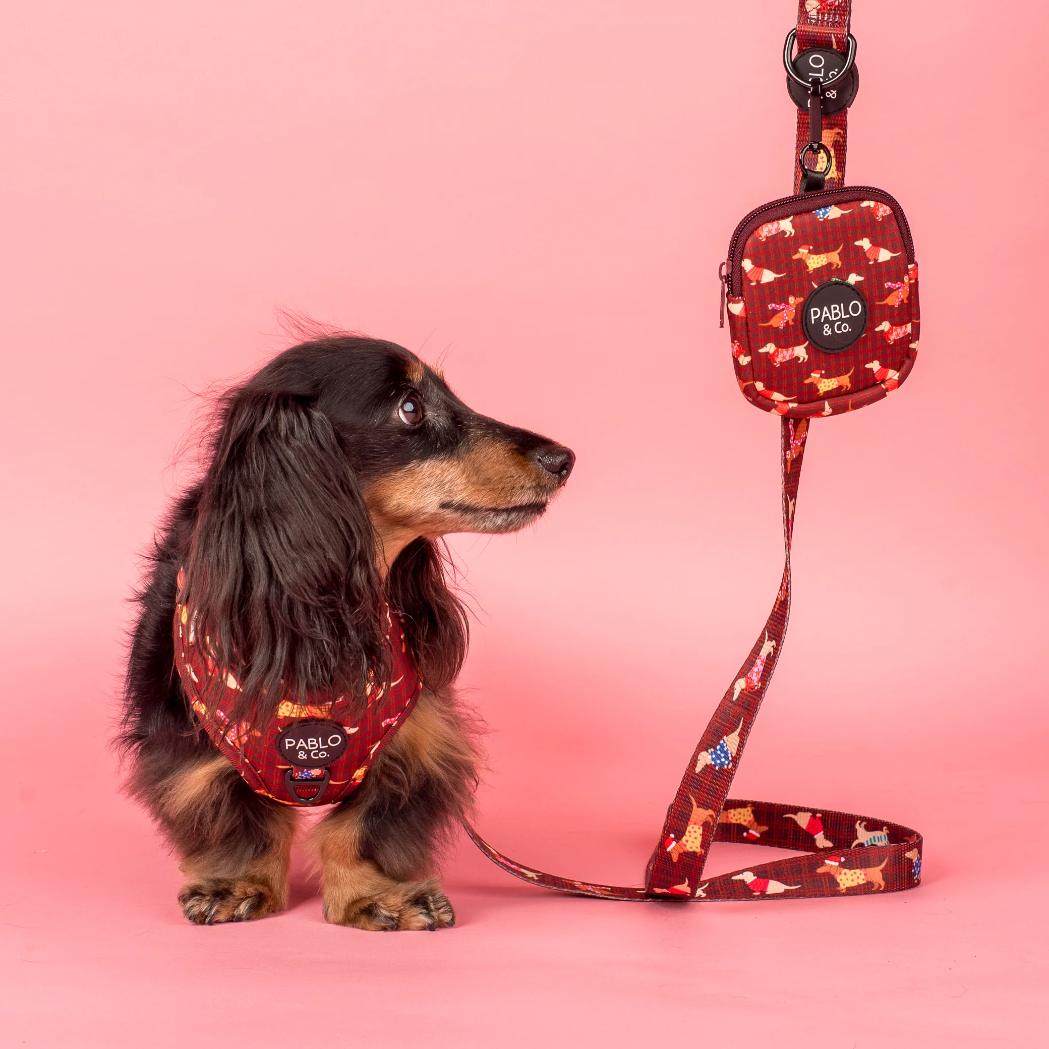 Merry Little Dachshunds: Dog Leash - Image 2