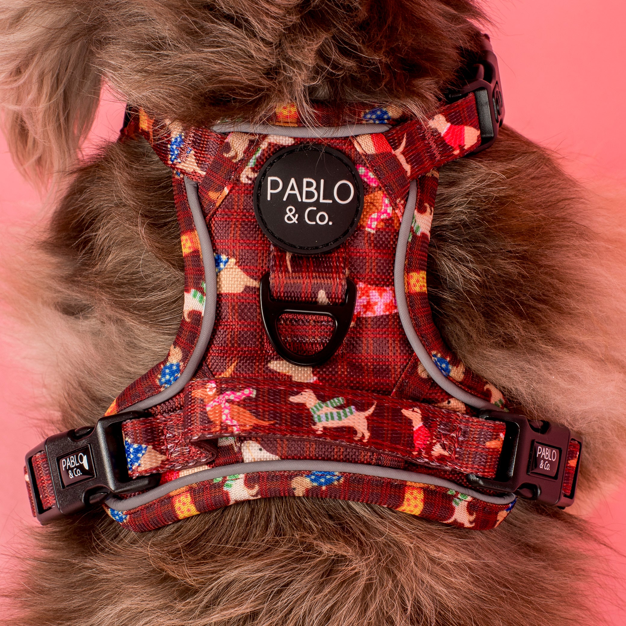 Merry Little Dachshunds: No Pull Adventure Harness - Image 3