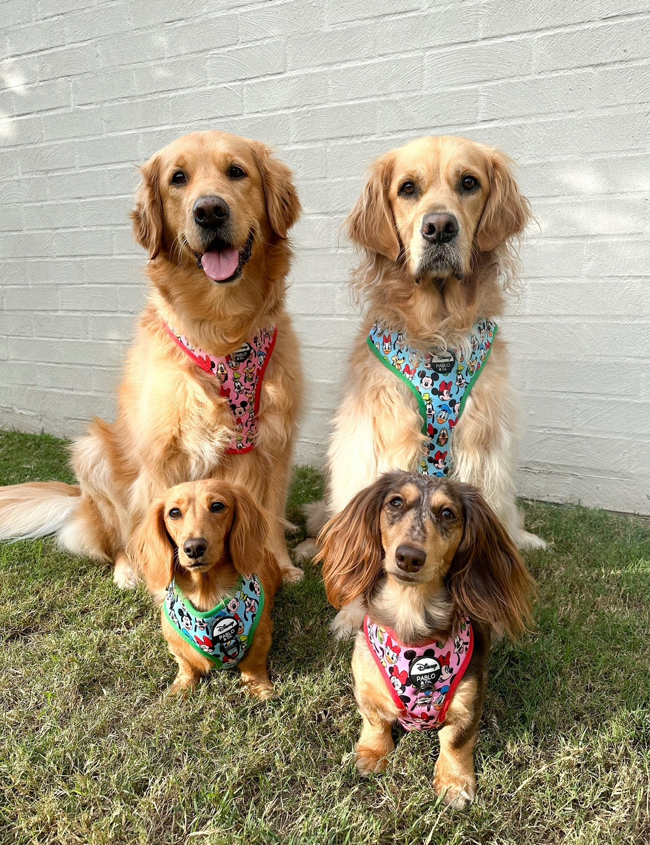 Mickey & Friends - Pink: Adjustable Harness - Image 7