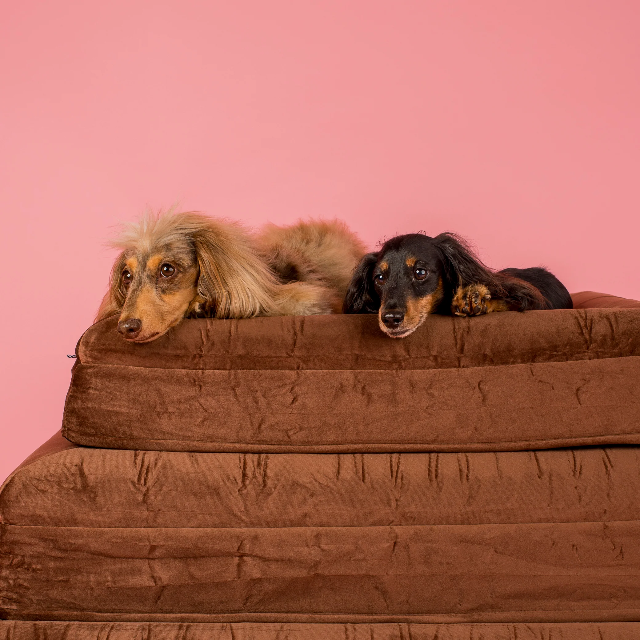 Orthopedic Memory Foam Velvet Dog Bed: Dark Chocolate - Image 14