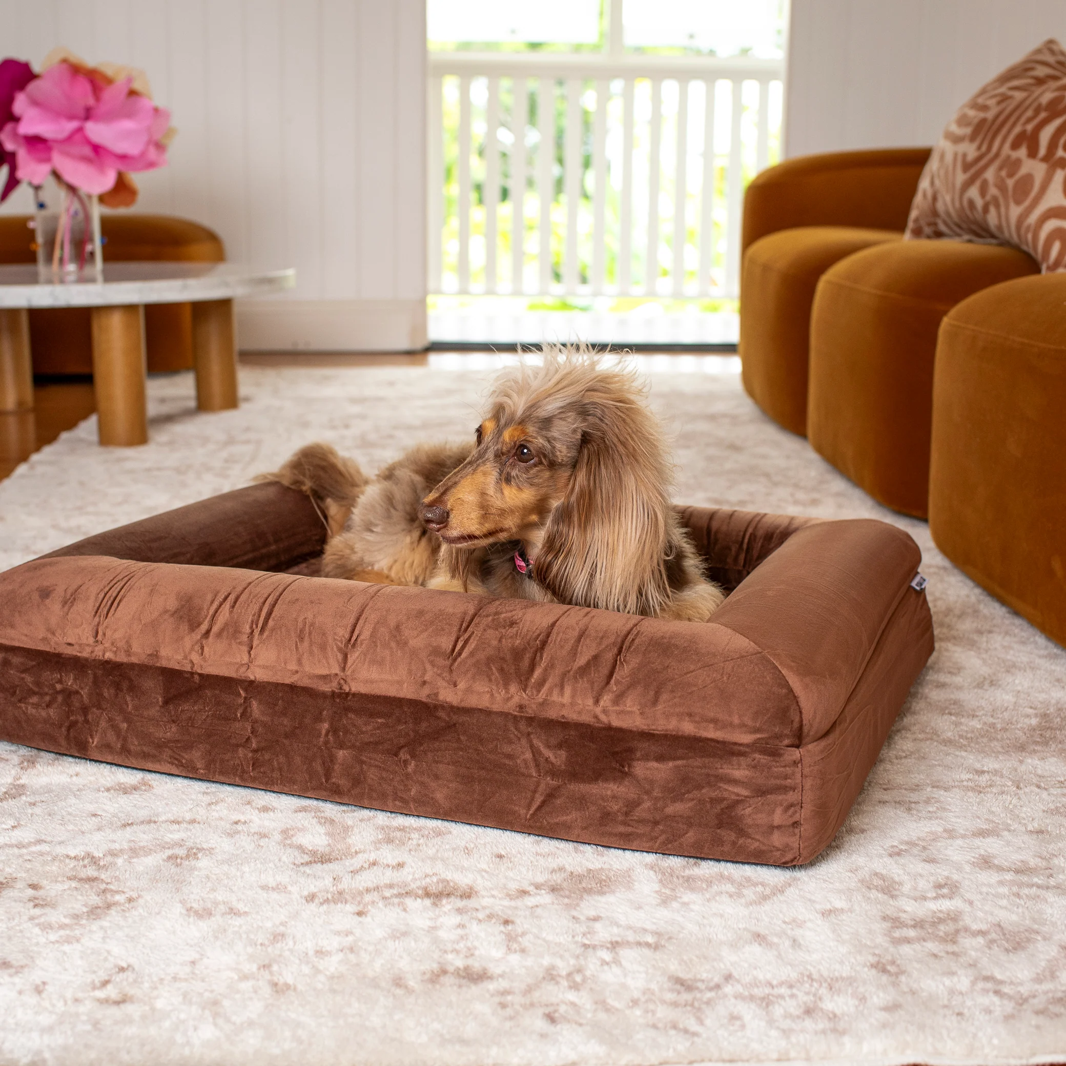 Orthopedic Memory Foam Velvet Dog Bed: Dark Chocolate - Image 9