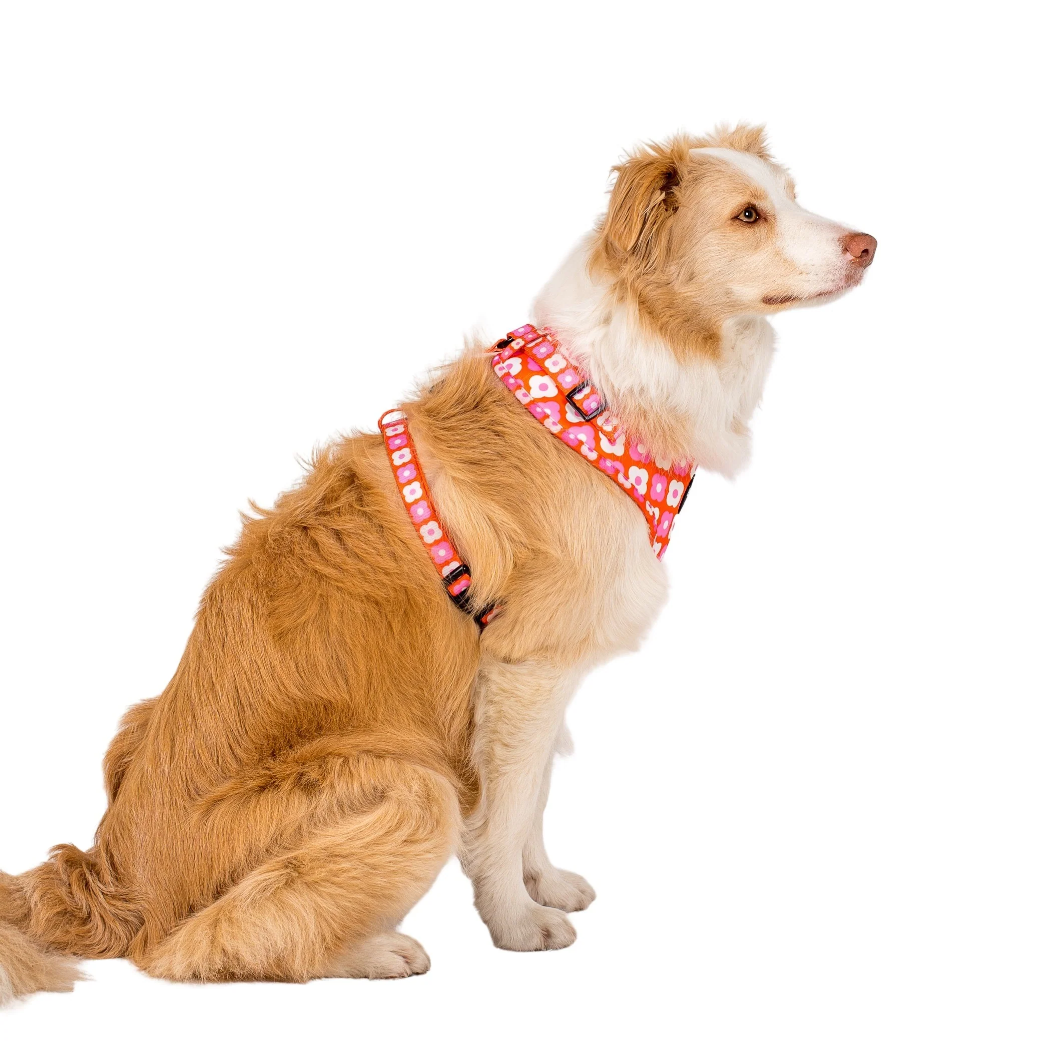 Pink Checkered Daisies: Adjustable Harness - Image 4