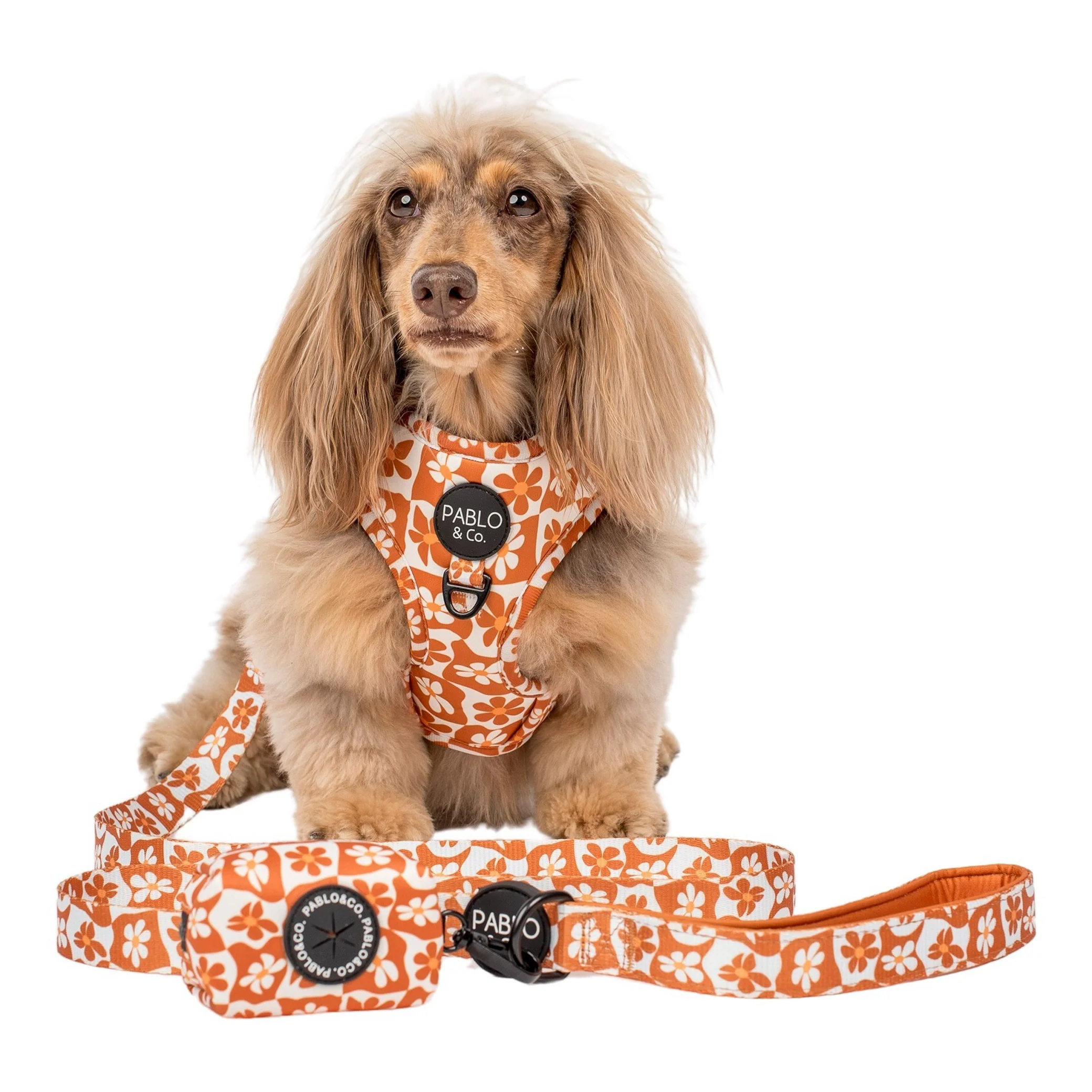 Retro Dazie - Poop Bag Holder - Image 4