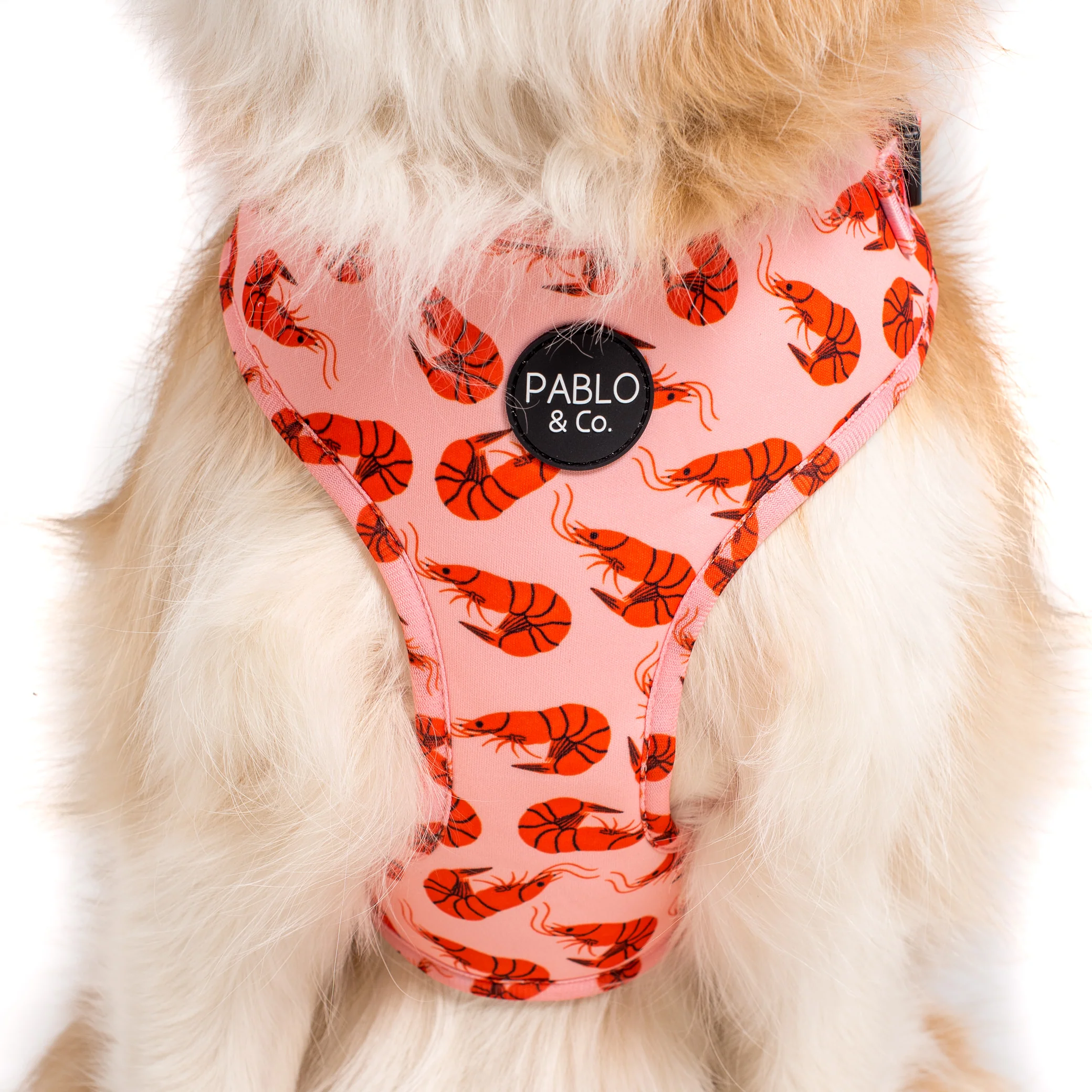 Summer Prawns: Adjustable Harness - Image 2