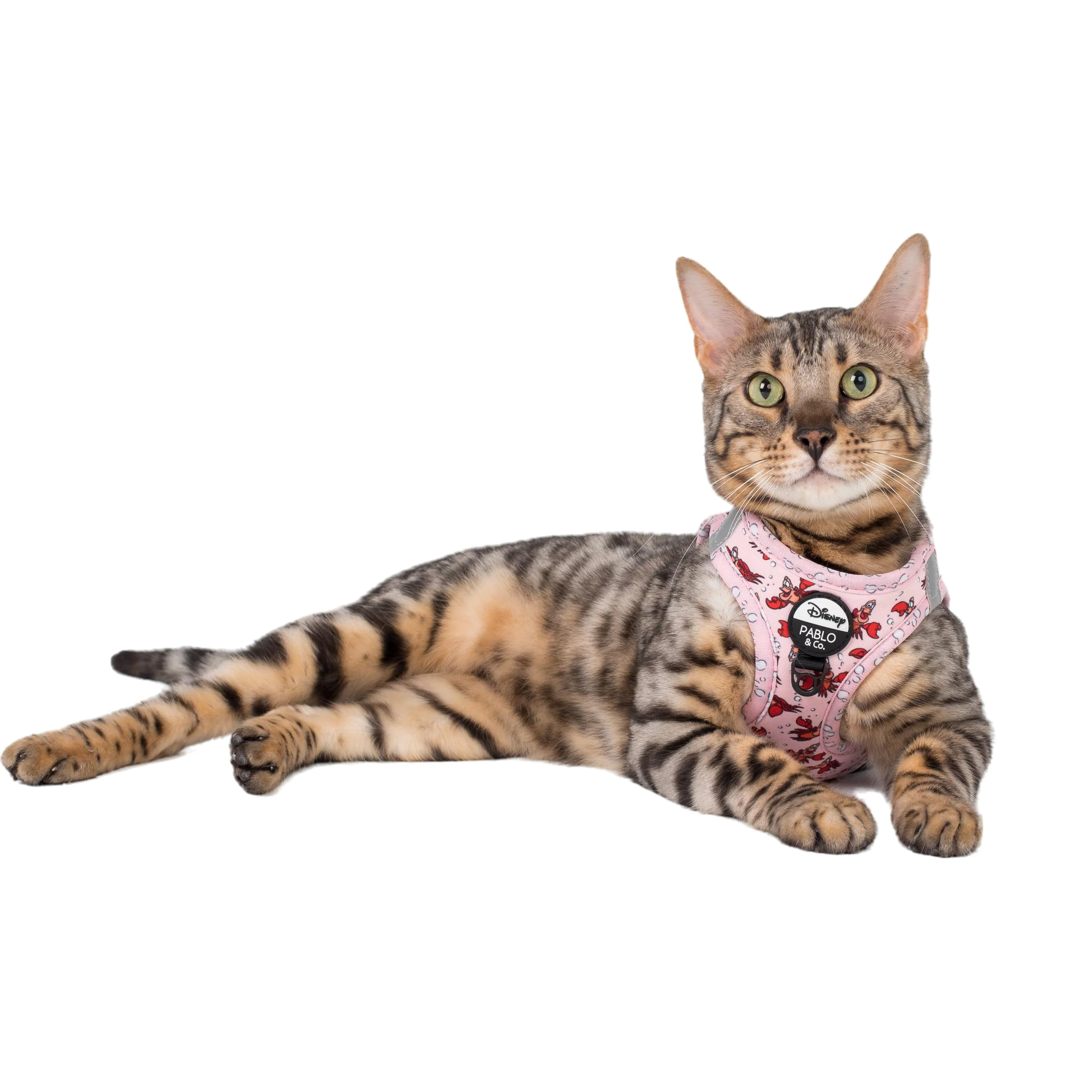 The Little Mermaid - Sebastian: Step In Cat Harness - Image 3