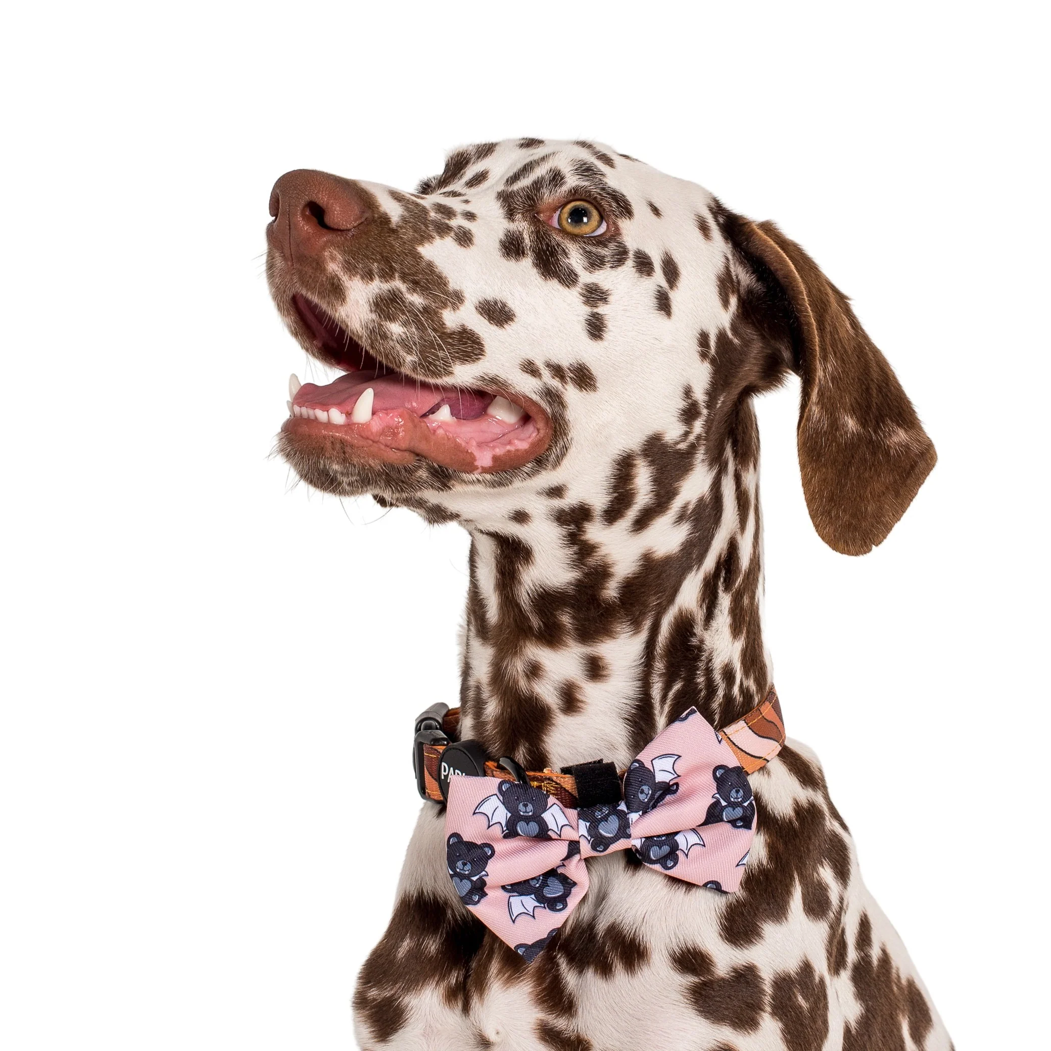 The Vampire Teddy Bear: Bow Tie - Image 2
