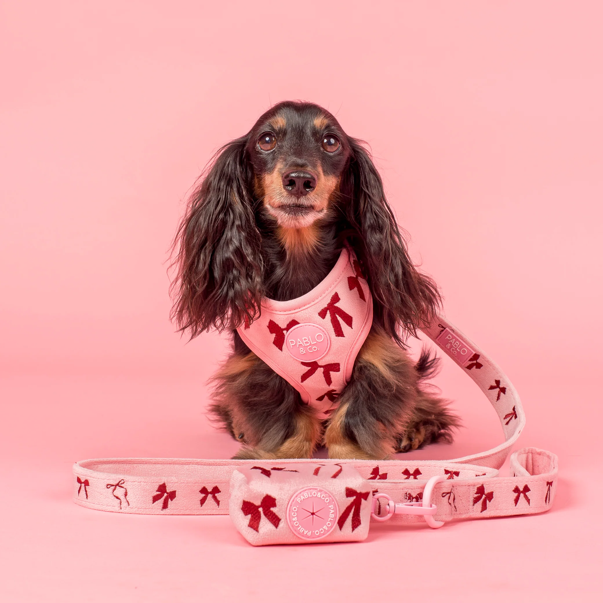 Velvet Blush Bows: Poop Bag Holder - Image 4