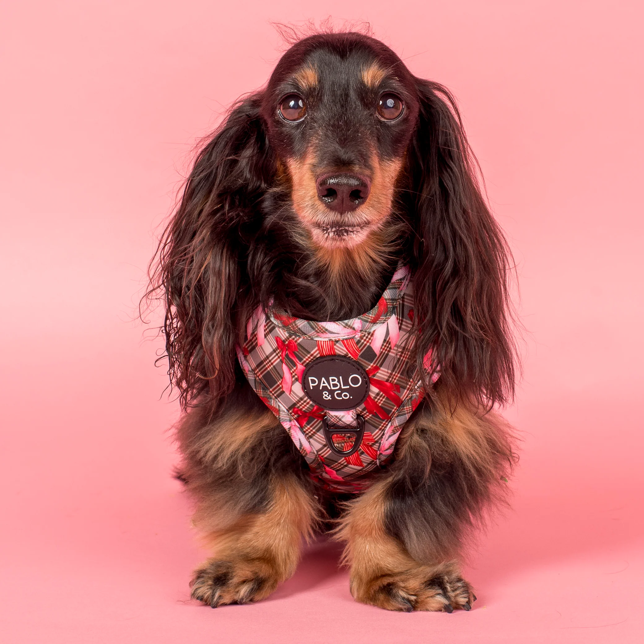 Wrapped in Ribbons: Adjustable Harness